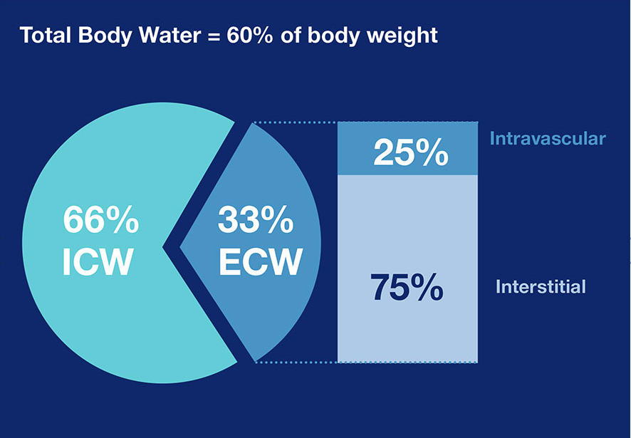 bild på kroppens totala vatteninnehåll