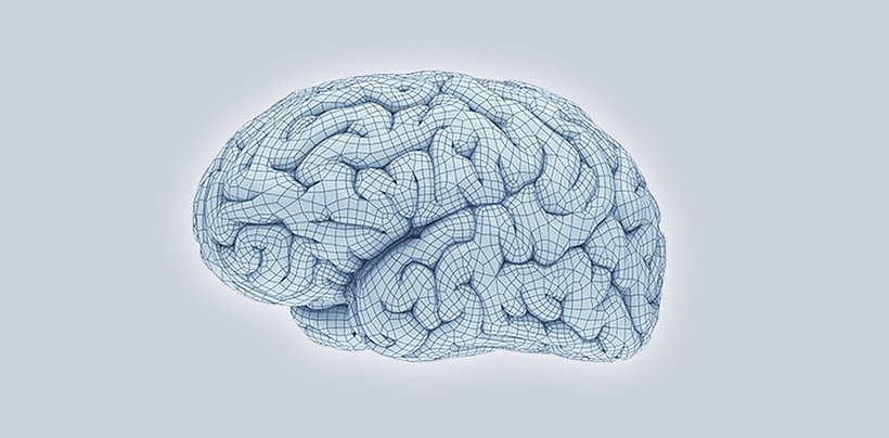 Hjärna och neurologi
