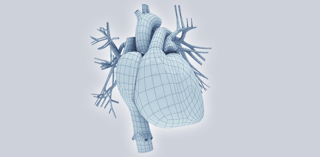 Hjärta och kardiologi